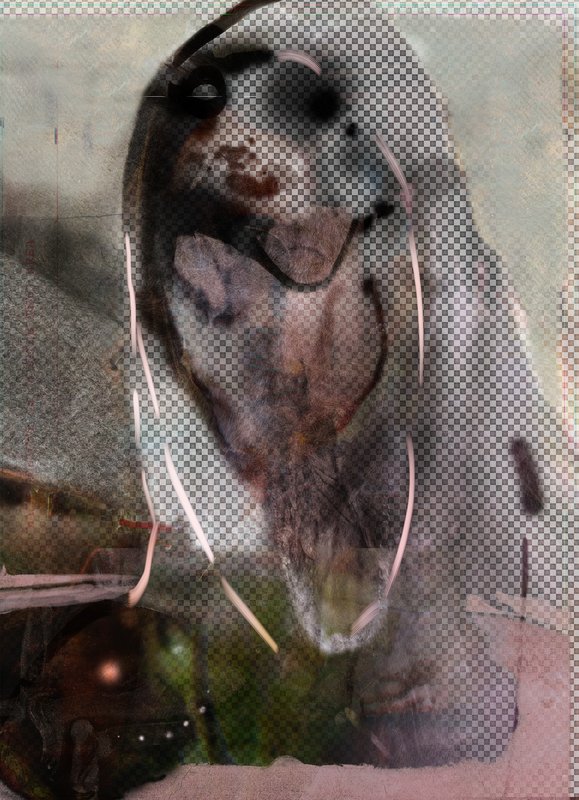 Alex Fischer, Venus, 2010, 29×21″ / 737×533㎜, print